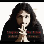 Singles: The Album - Meeta Pandit Song Download